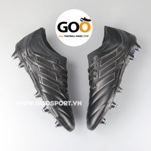 Adidas Copa 19.1 FG đen