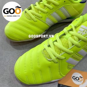 Top Sala IC dạ quang