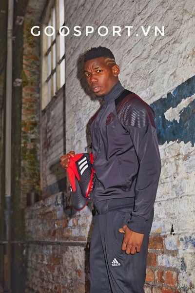 bee37a81d21b3045690a_594ea6a6250a48c7a0f0e47cad749942_grande-2