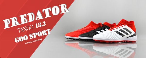 img_5445_b031eb1ee9ac4d2a9f81f318021149dc_grande-1