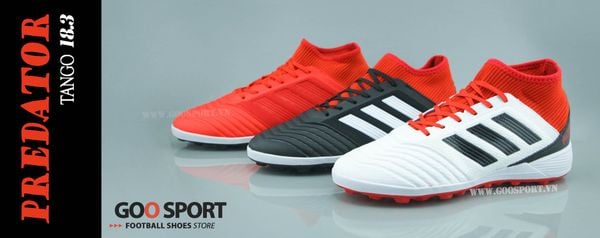 img_5448_20dc385f5e804423a16bc959e5b2985b_grande-1