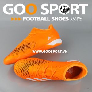 Adidas Predator 20.3 IC cam